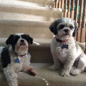 Meet your Posher, Jean